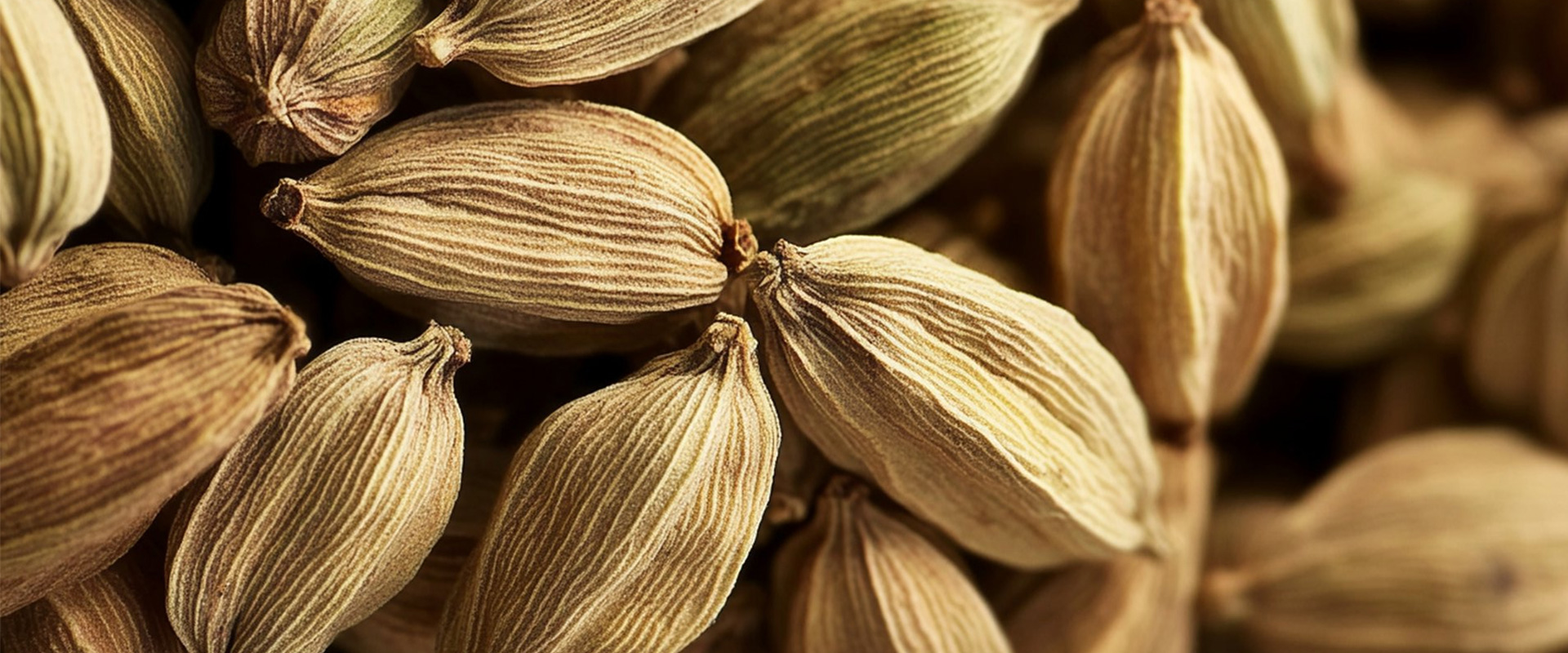 Cashmeran: Madera Almizclada, Calidez Especiada & Textura Aterciopelada