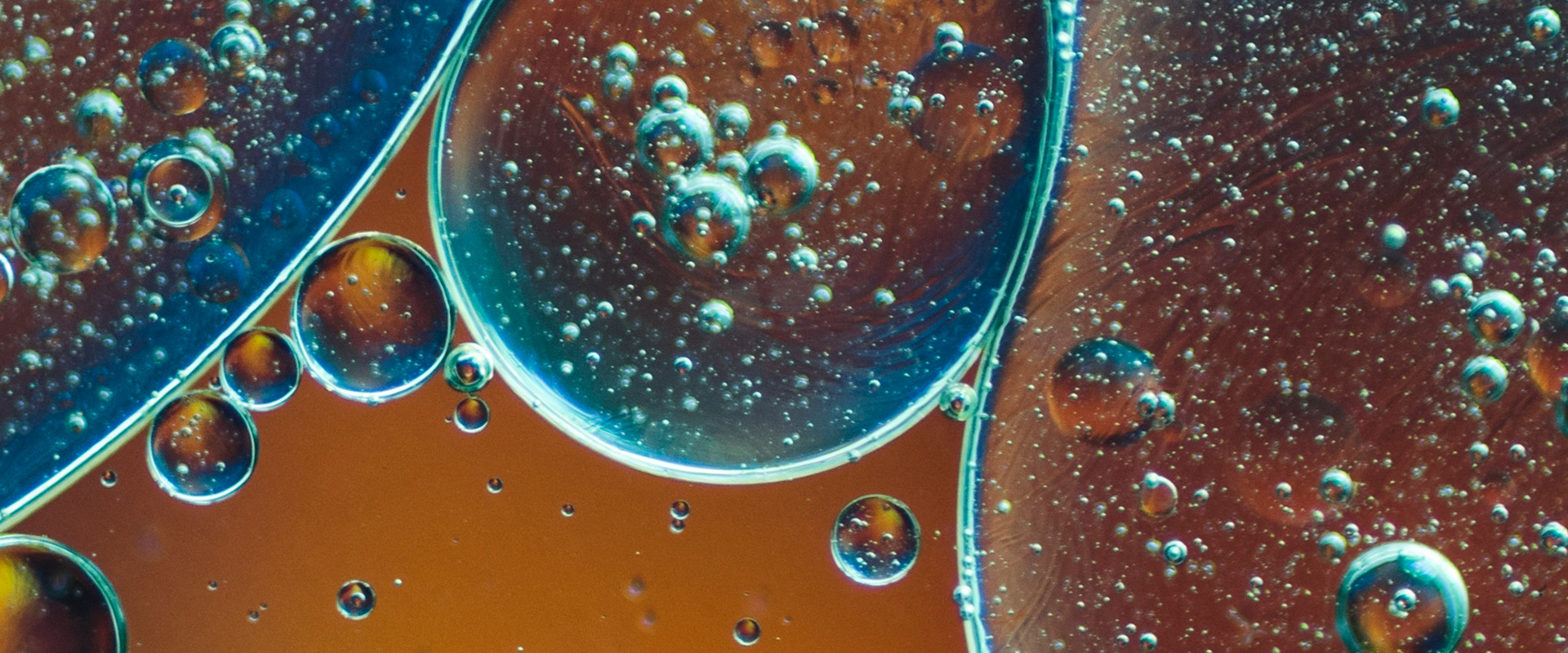 Conservación Integral: Hurdle Technology, Microbiología & Oxidación